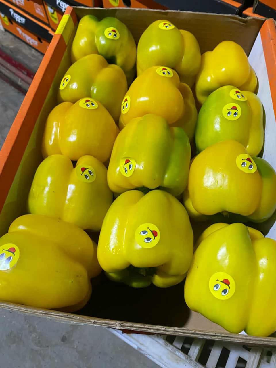 whatsapp image 2026 04 01 at 3.21.39 pm