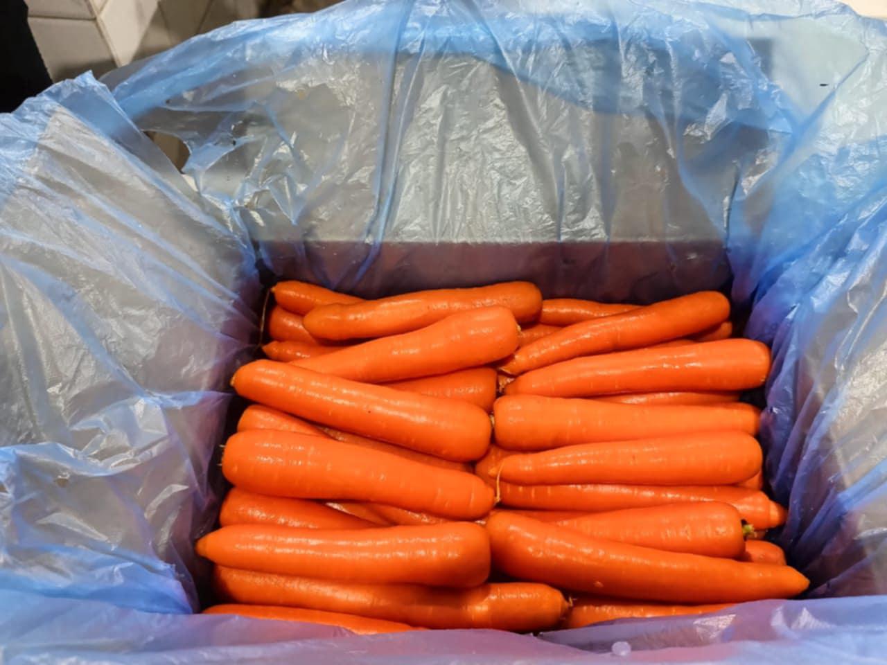 whatsapp image 2026 04 01 at 3.21.41 pm