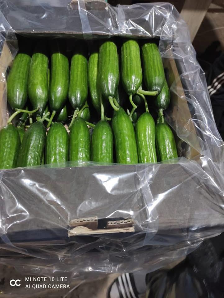 whatsapp image 2026 04 01 at 3.21.42 pm