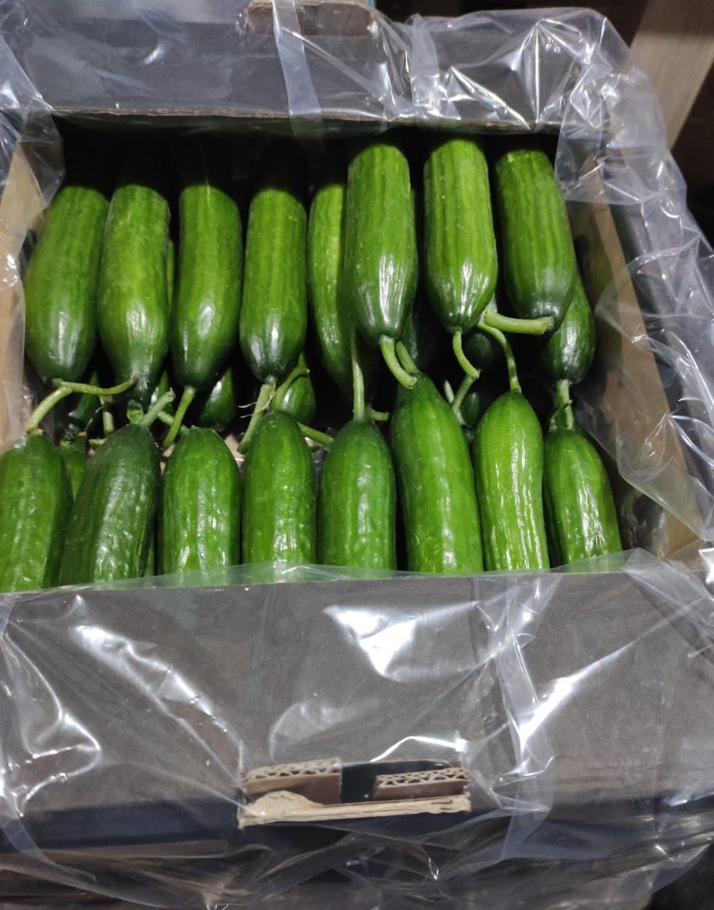 whatsapp image 2026 04 01 at 3.21.44 pm