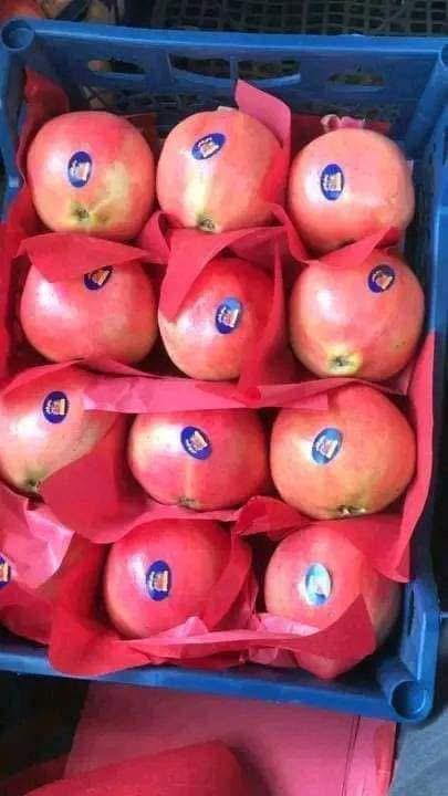 whatsapp image 2026 04 01 at 3.21.45 pm