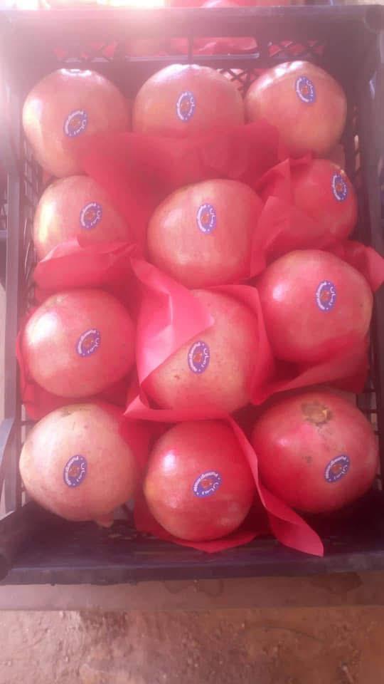 whatsapp image 2026 04 01 at 3.21.46 pm