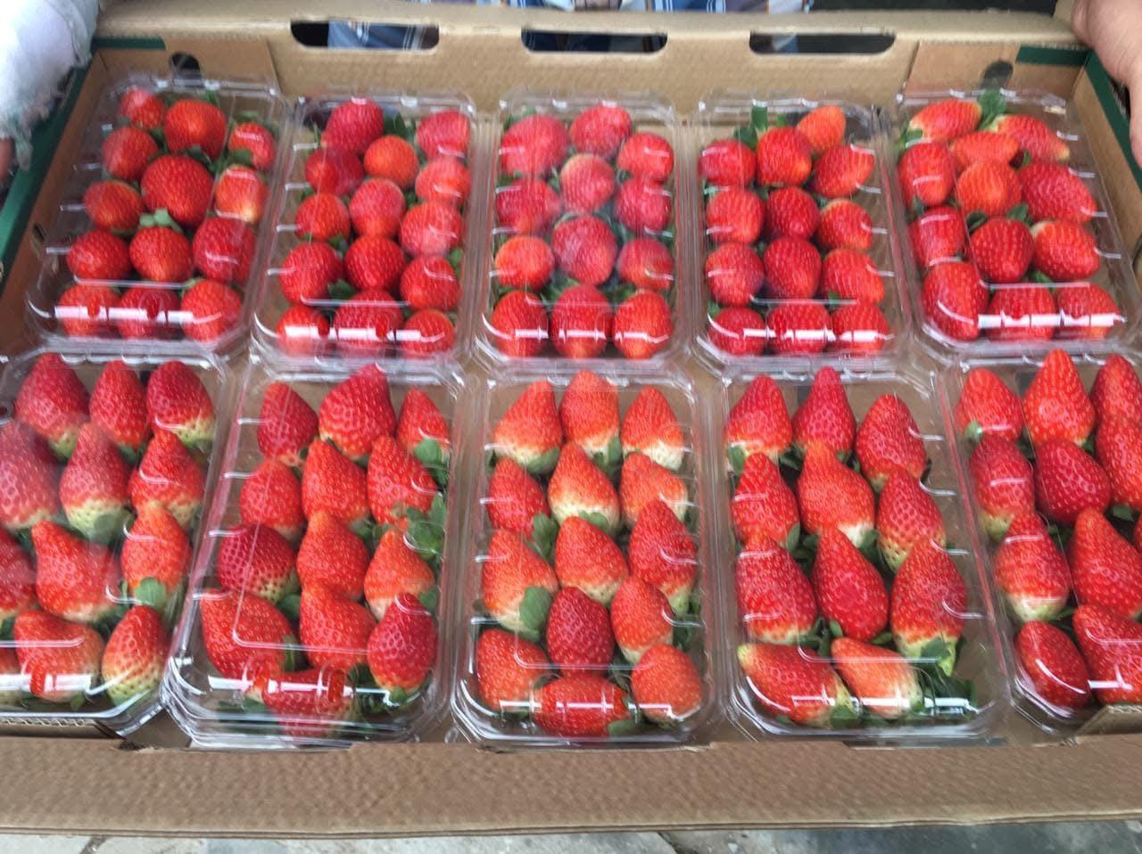 whatsapp image 2026 04 01 at 3.21.57 pm