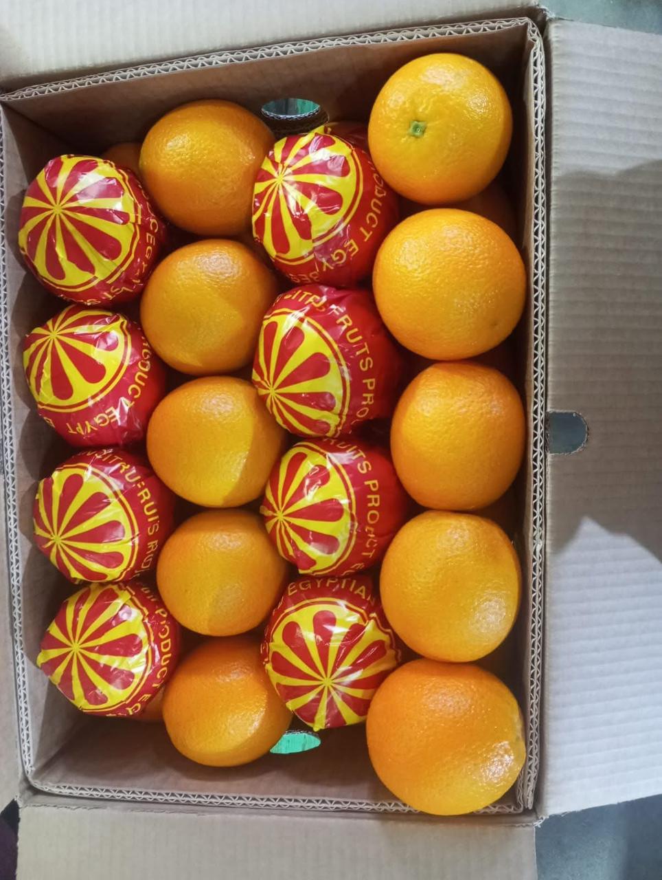 whatsapp image 2026 04 01 at 3.22.02 pm