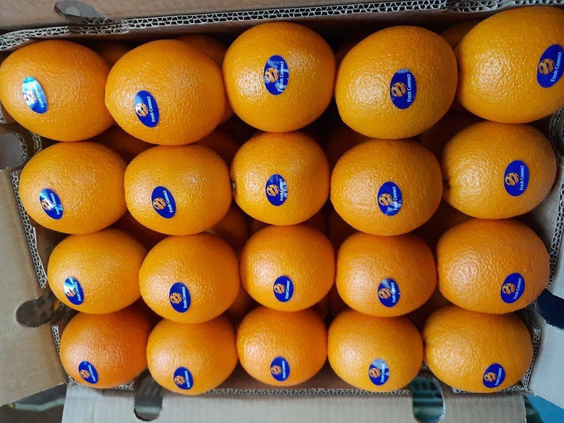 whatsapp image 2026 04 01 at 3.22.03 pm (1)