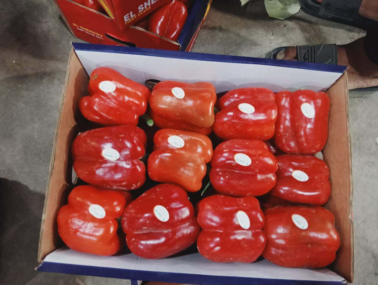 whatsapp image 2026 04 01 at 3.22.03 pm (3)