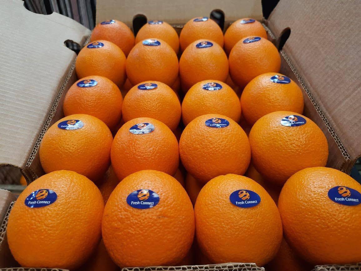 whatsapp image 2026 04 01 at 3.22.03 pm