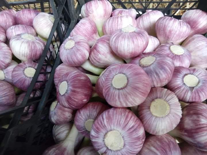 whatsapp image 2026 04 01 at 3.22.04 pm (3)