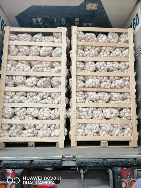 whatsapp image 2026 04 01 at 3.22.05 pm (1)