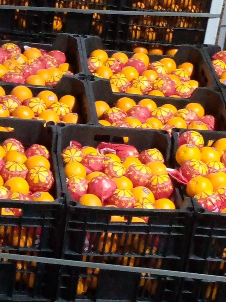 whatsapp image 2026 04 01 at 3.22.05 pm (4)