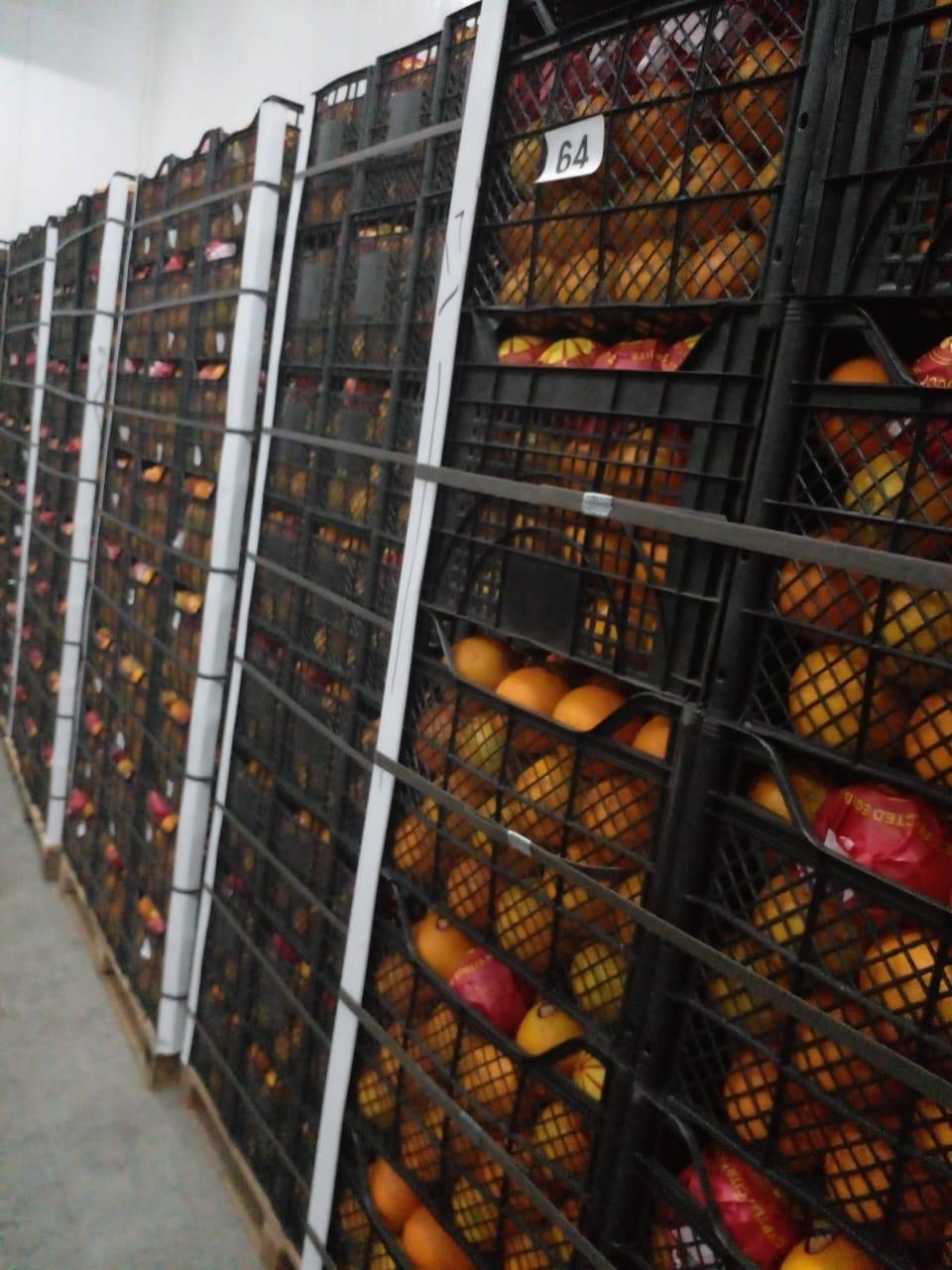 whatsapp image 2026 04 01 at 3.22.06 pm (2)