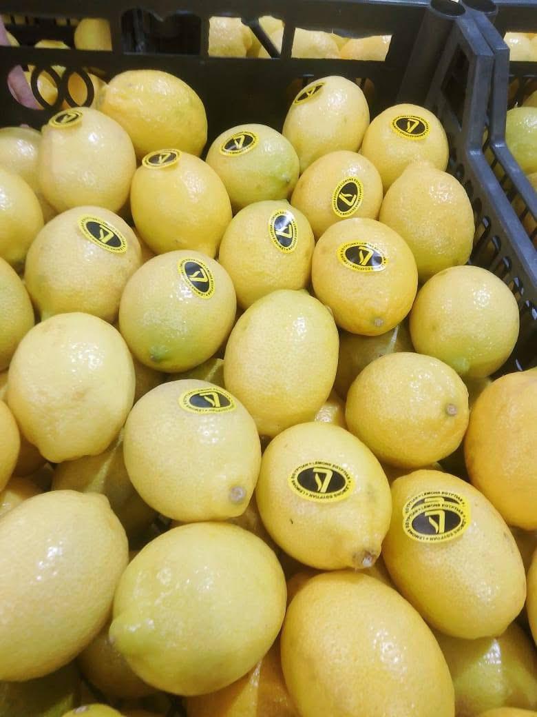 whatsapp image 2026 04 01 at 3.22.06 pm (3)