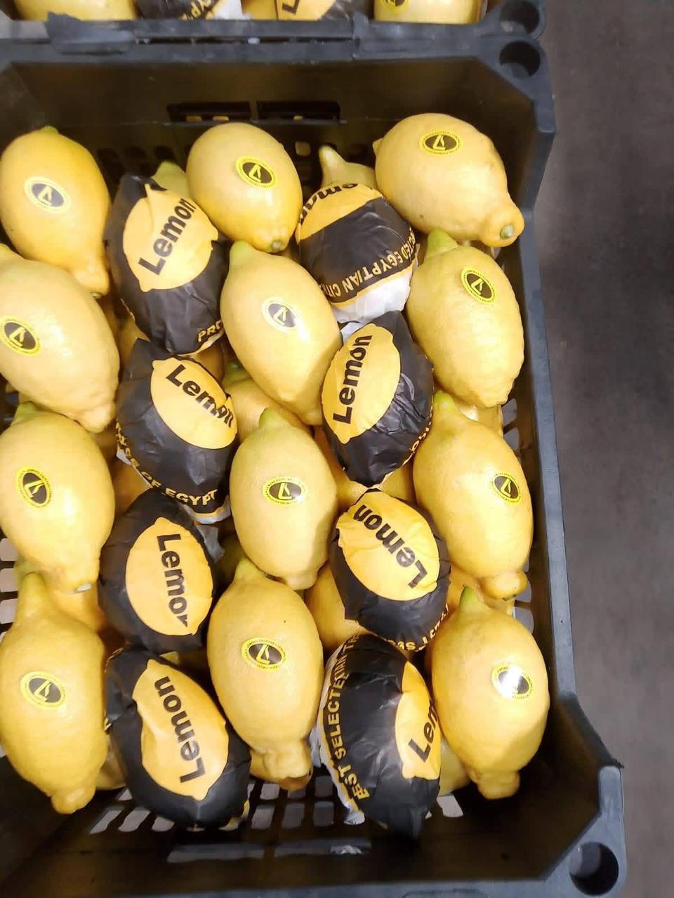 whatsapp image 2026 04 01 at 3.22.07 pm (1)