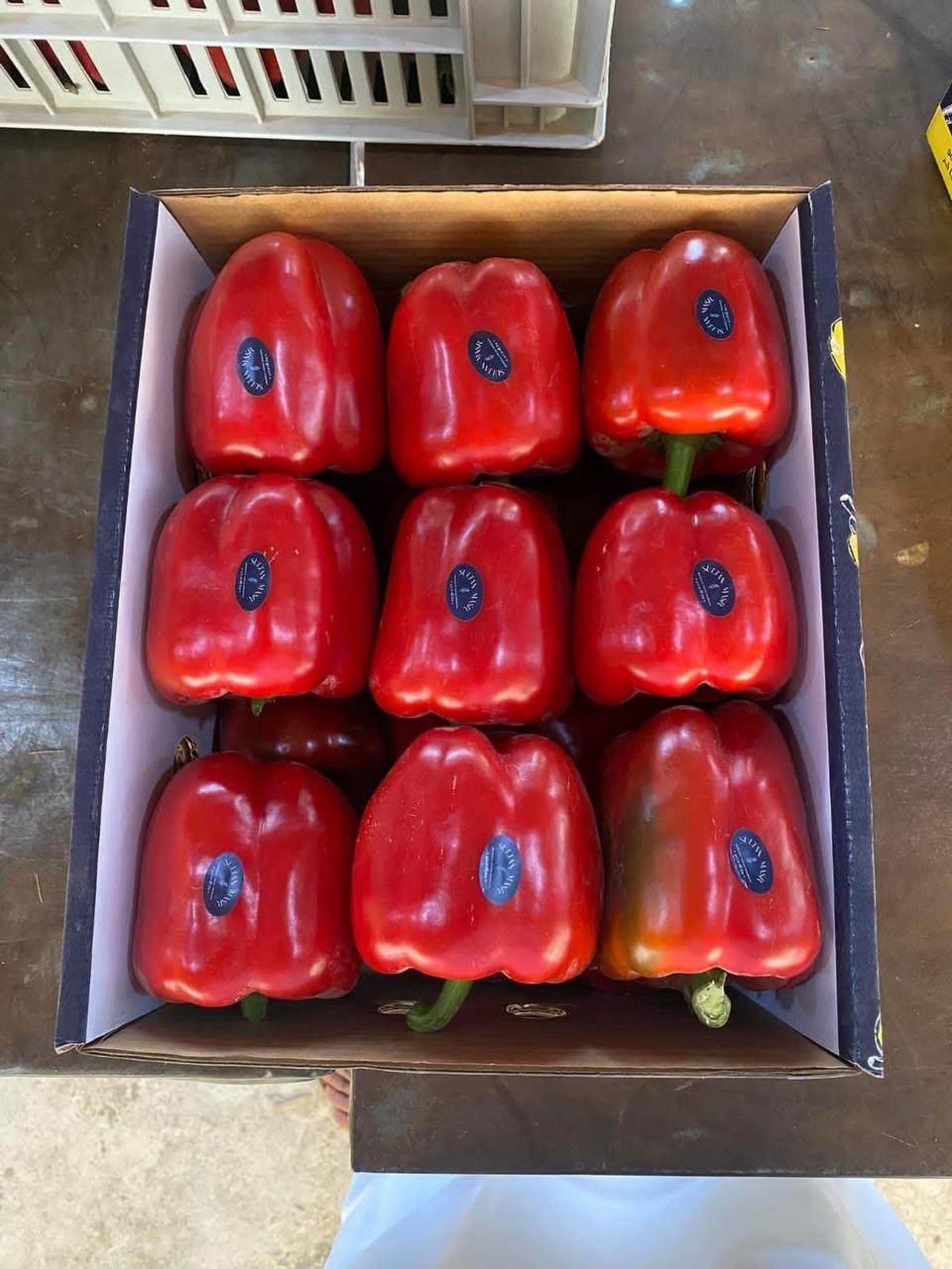 whatsapp image 2026 04 01 at 3.22.07 pm (3)