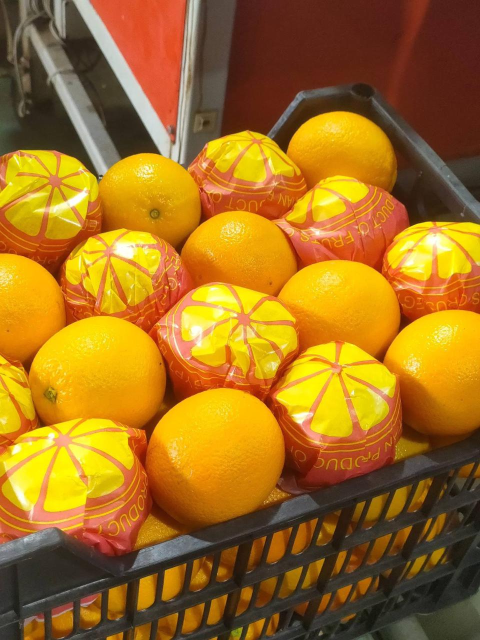 whatsapp image 2026 04 01 at 3.22.07 pm (4)