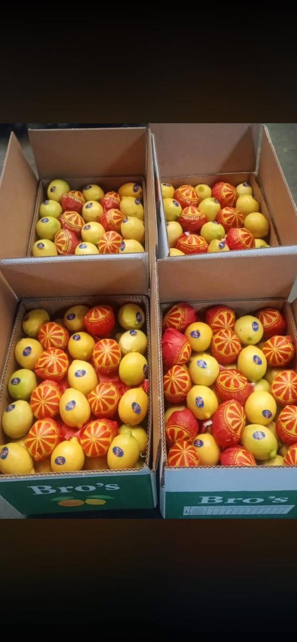 whatsapp image 2026 04 01 at 3.22.08 pm (1)