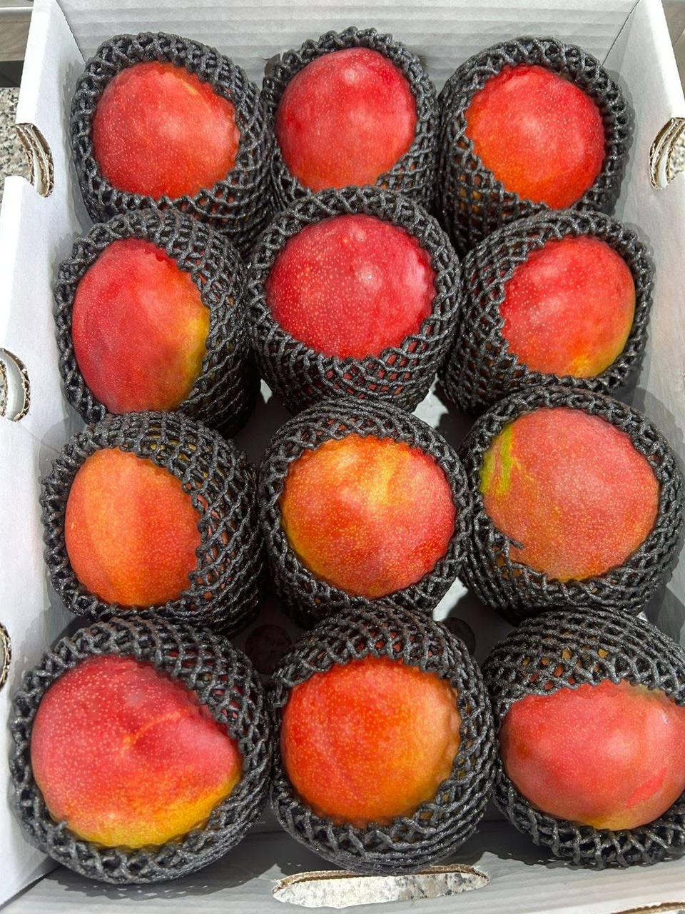 whatsapp image 2026 04 01 at 3.22.08 pm (2)