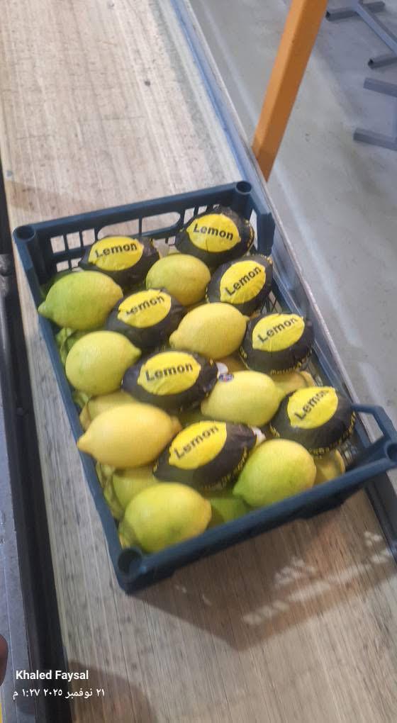 whatsapp image 2026 04 01 at 3.22.08 pm (3)