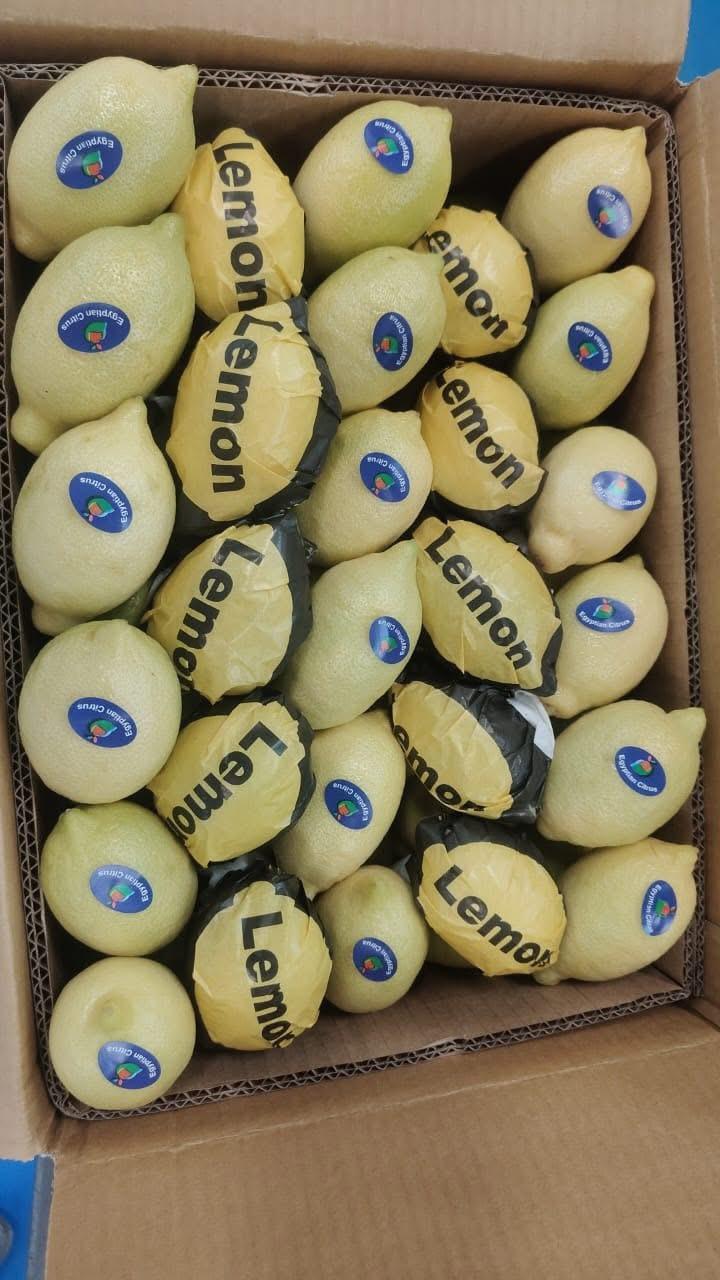 whatsapp image 2026 04 01 at 3.22.08 pm (4)