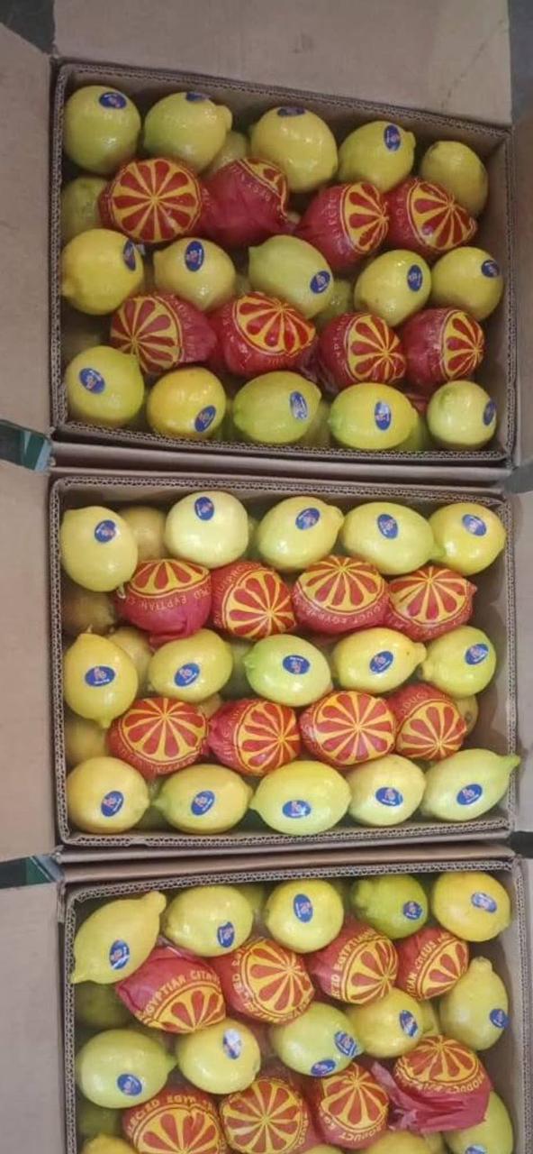 whatsapp image 2026 04 01 at 3.22.08 pm