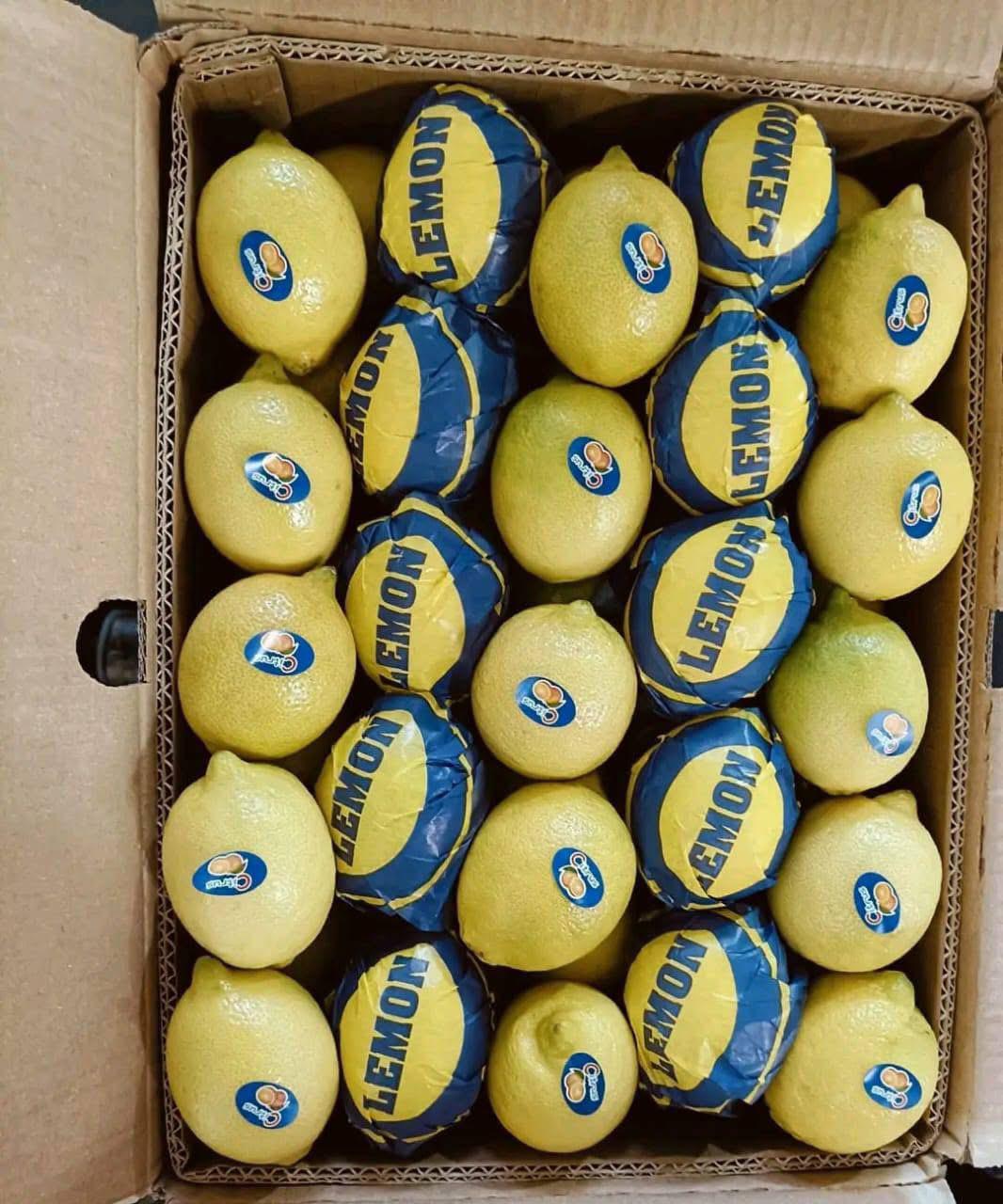 whatsapp image 2026 04 01 at 3.22.09 pm (2)