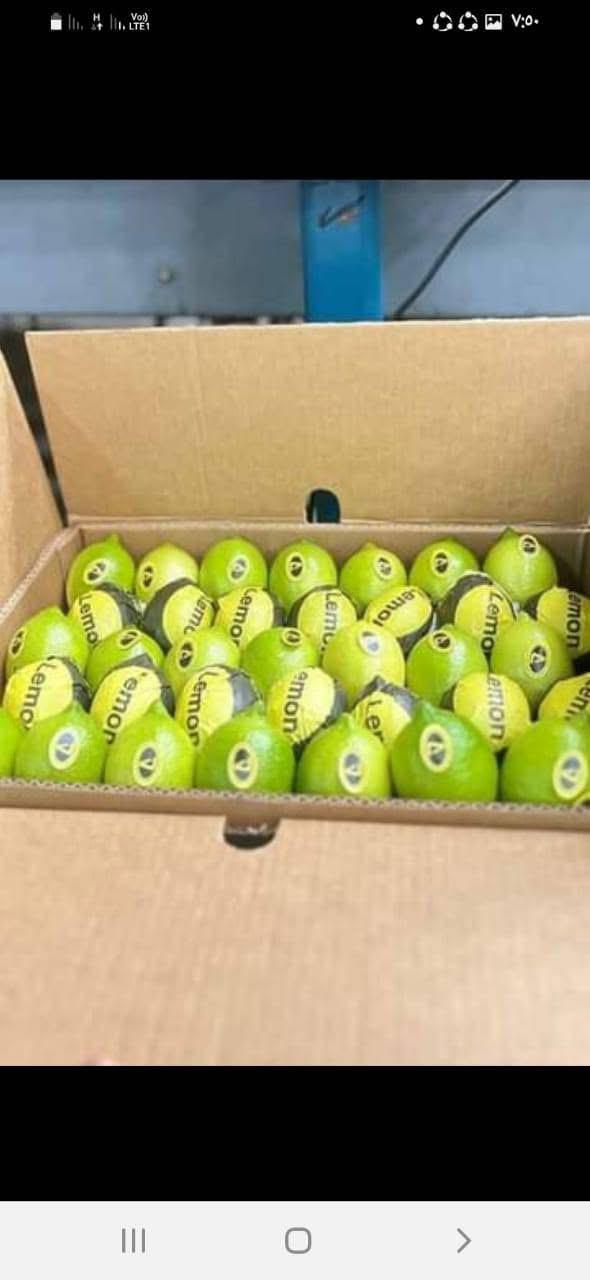 whatsapp image 2026 04 01 at 3.22.09 pm (3)