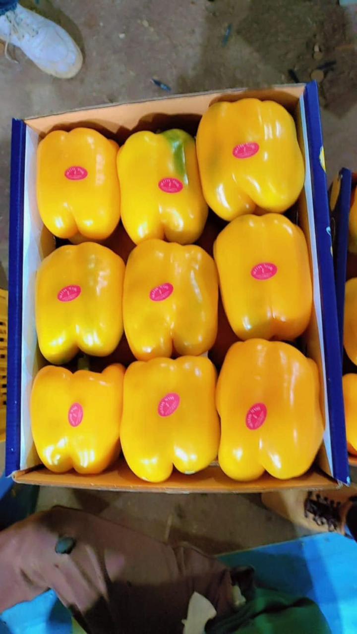 whatsapp image 2026 04 01 at 3.22.09 pm (6)