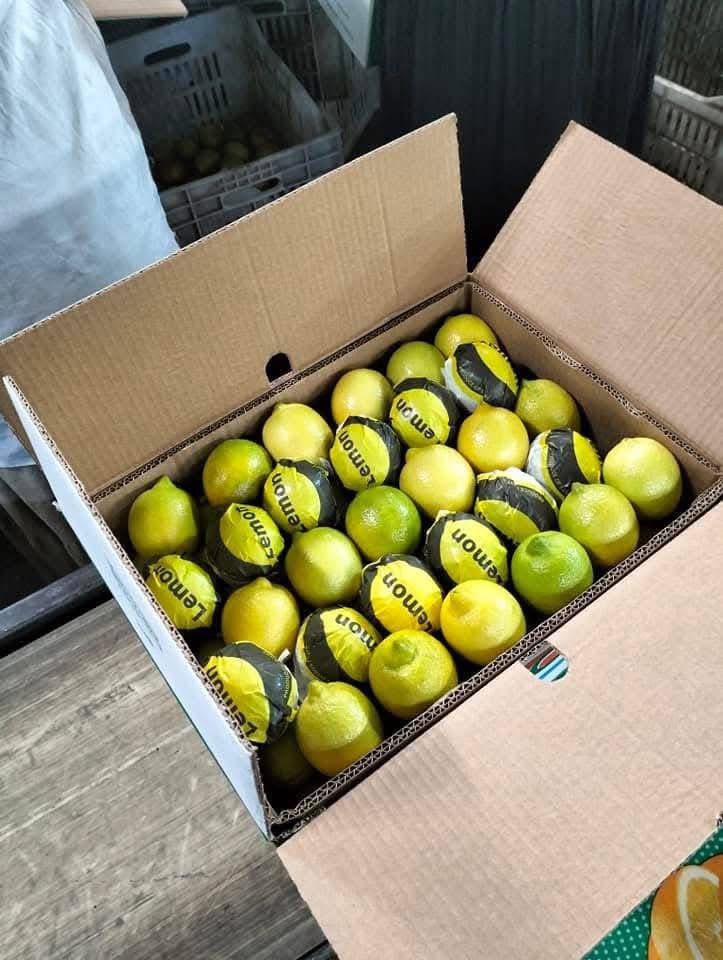 whatsapp image 2026 04 01 at 3.22.09 pm (7)