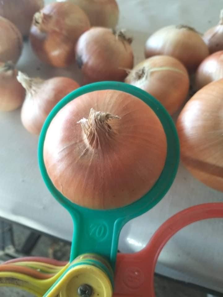 whatsapp image 2026 04 01 at 3.22.10 pm (1)