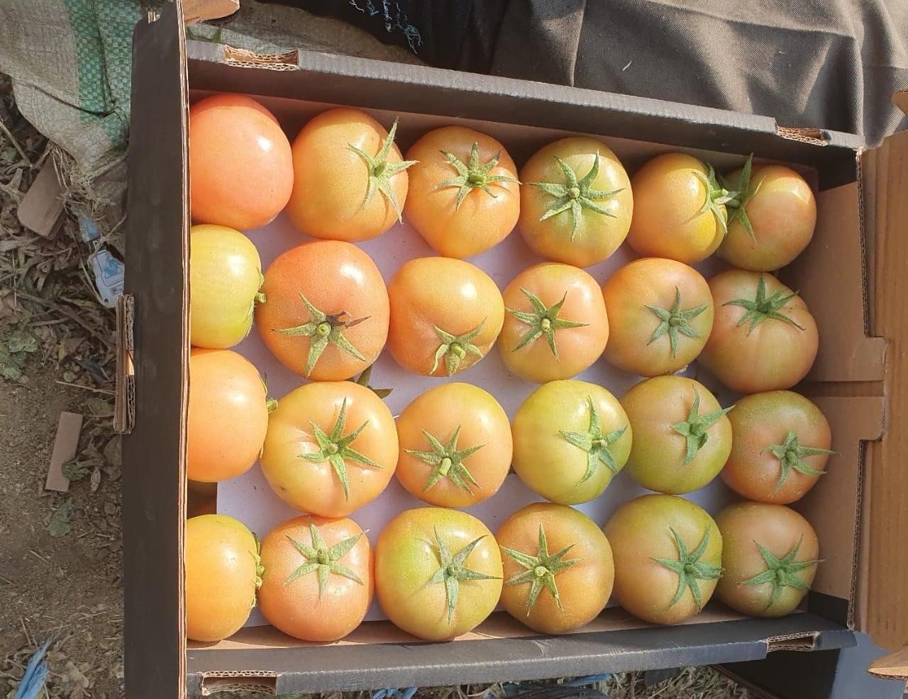 whatsapp image 2026 04 01 at 3.22.10 pm (2)