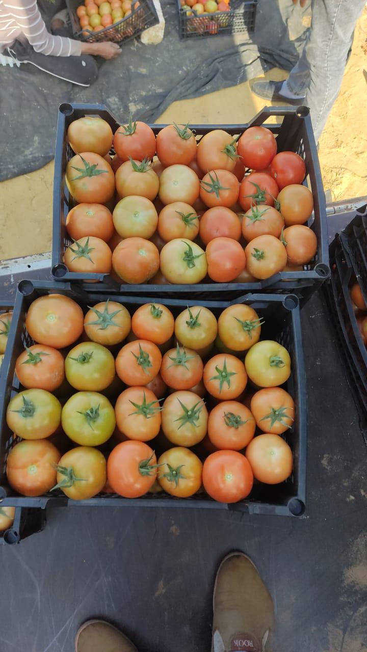 whatsapp image 2026 04 01 at 3.22.10 pm (3)