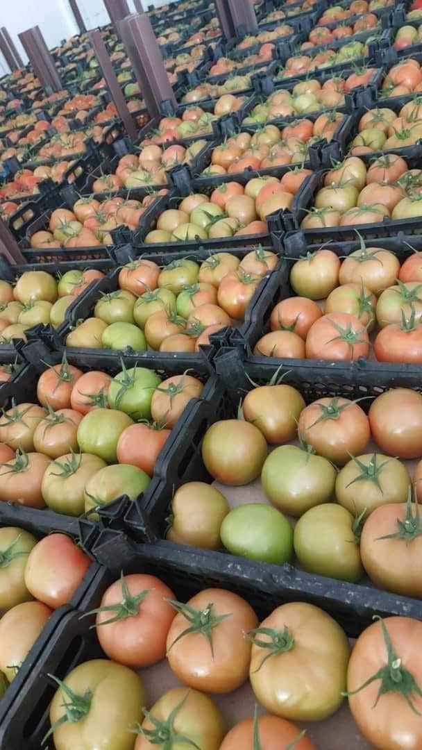 whatsapp image 2026 04 01 at 3.22.10 pm