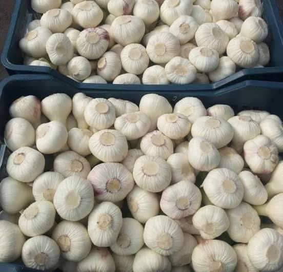 whatsapp image 2026 04 01 at 3.22.12 pm (1)