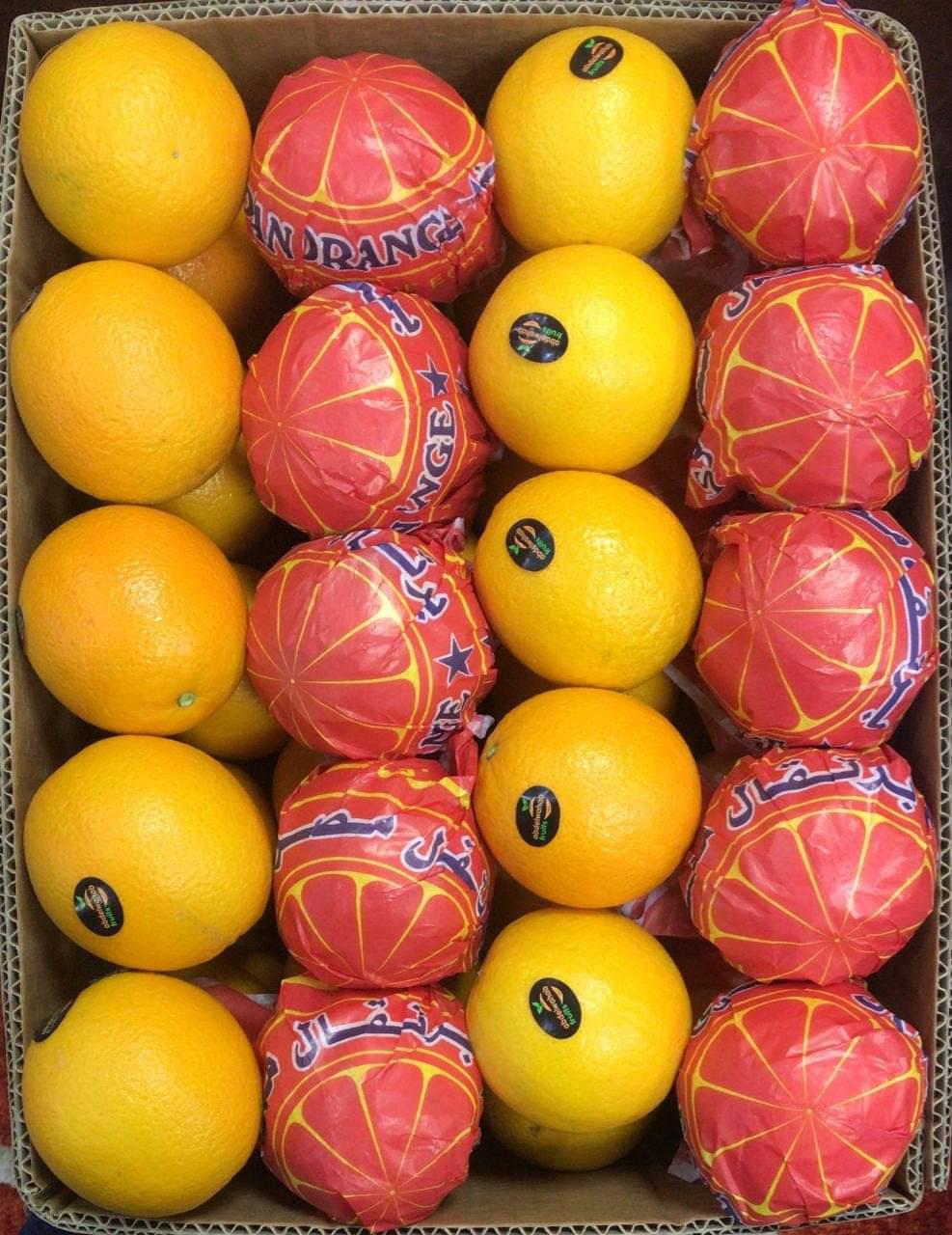 whatsapp image 2026 04 01 at 3.22.12 pm (3)