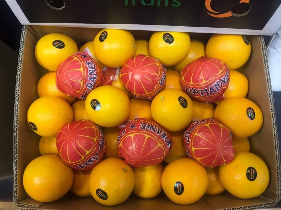 whatsapp image 2026 04 01 at 3.22.12 pm (4)