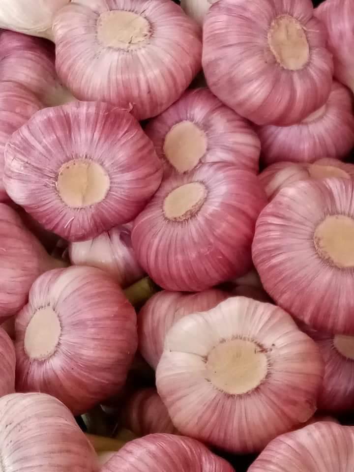 whatsapp image 2026 04 01 at 3.22.12 pm