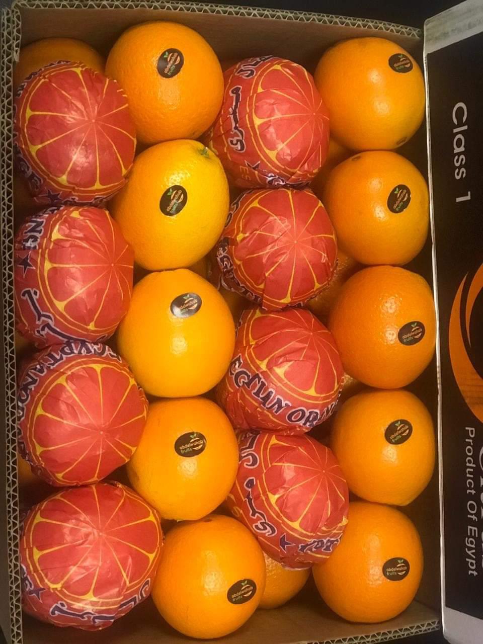 whatsapp image 2026 04 01 at 3.22.13 pm