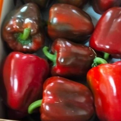 الرئيسية whatsapp image 2026 04 01 at 3.21.37 pm