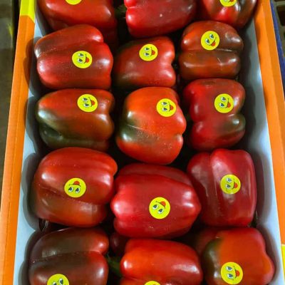 الرئيسية whatsapp image 2026 04 01 at 3.21.38 pm