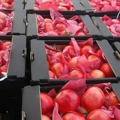 الرئيسية whatsapp image 2026 04 01 at 3.21.55 pm