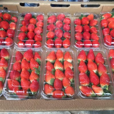 الرئيسية whatsapp image 2026 04 01 at 3.21.57 pm