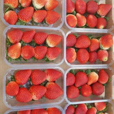 الرئيسية whatsapp image 2026 04 01 at 3.21.58 pm