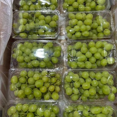 الرئيسية whatsapp image 2026 04 01 at 3.21.59 pm