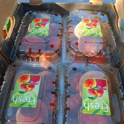 الرئيسية whatsapp image 2026 04 01 at 3.22.00 pm