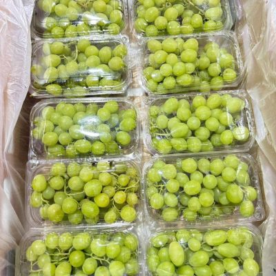 الرئيسية whatsapp image 2026 04 01 at 3.22.01 pm