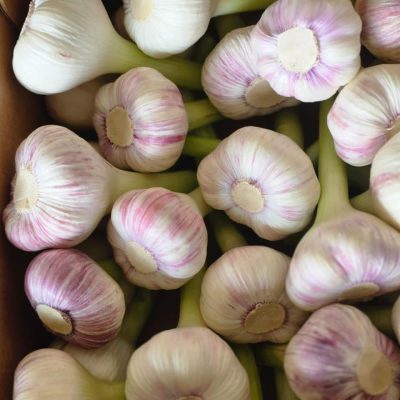 الرئيسية whatsapp image 2026 04 01 at 3.22.05 pm (3)