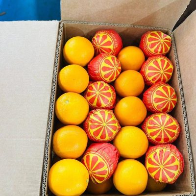 الرئيسية whatsapp image 2026 04 01 at 3.22.06 pm (1)