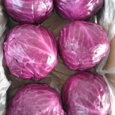 الرئيسية whatsapp image 2026 04 01 at 3.22.07 pm